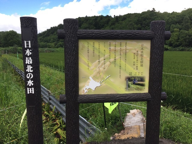 日本最北地の水田を示す看板2