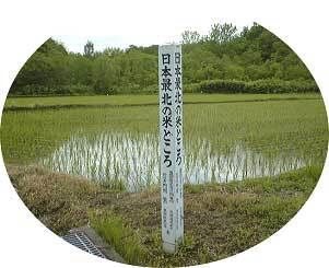 日本最北の水田の写真