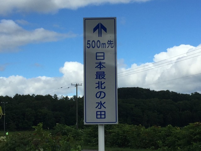 水田は500メートル先と示す看板