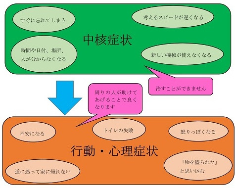 中核症状に伴う行動・心理症状を表した図