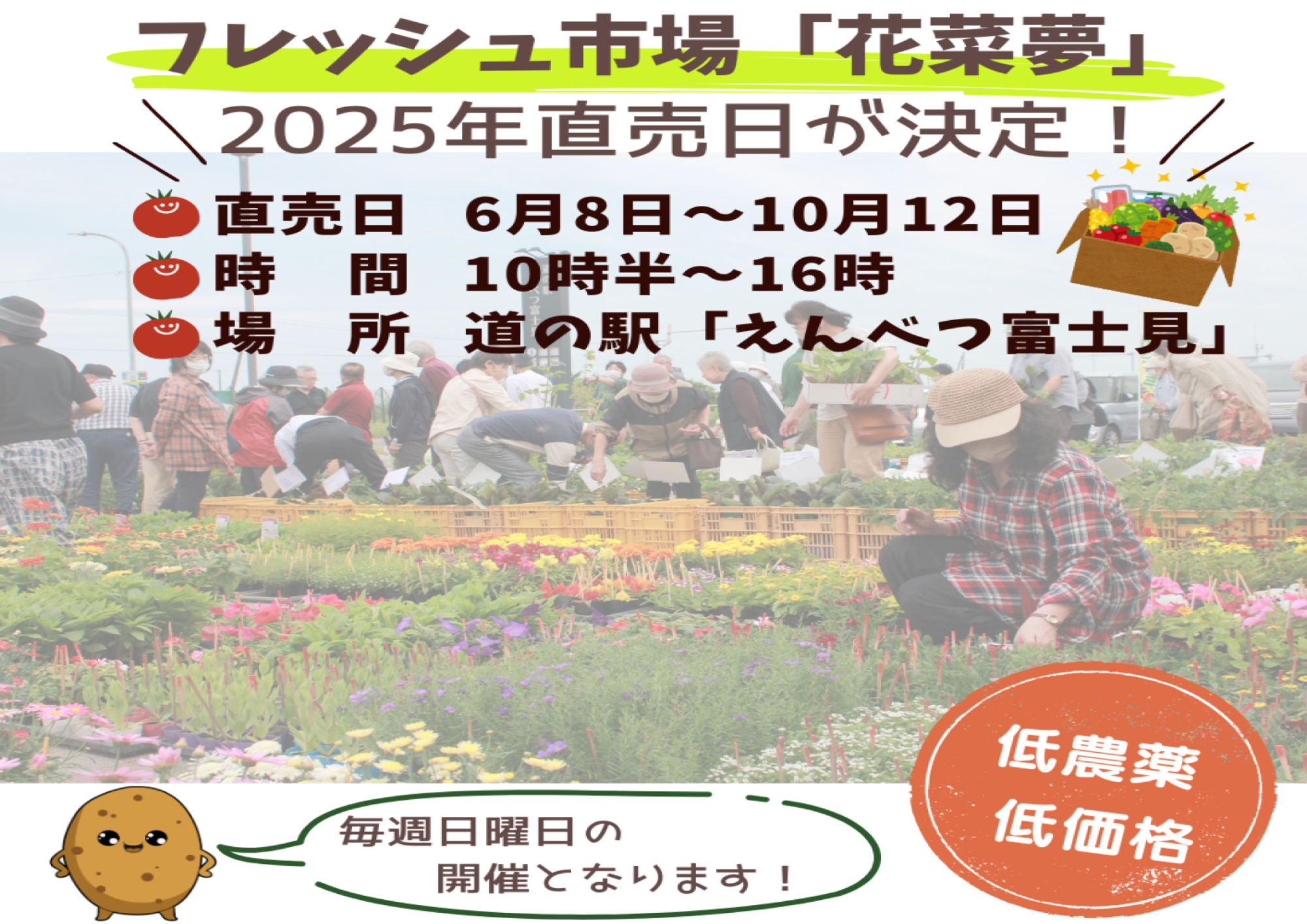 花菜夢オープン