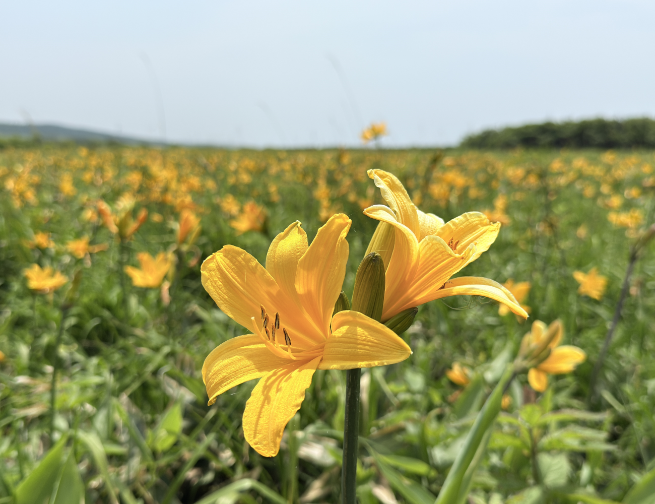 イメージ写真1