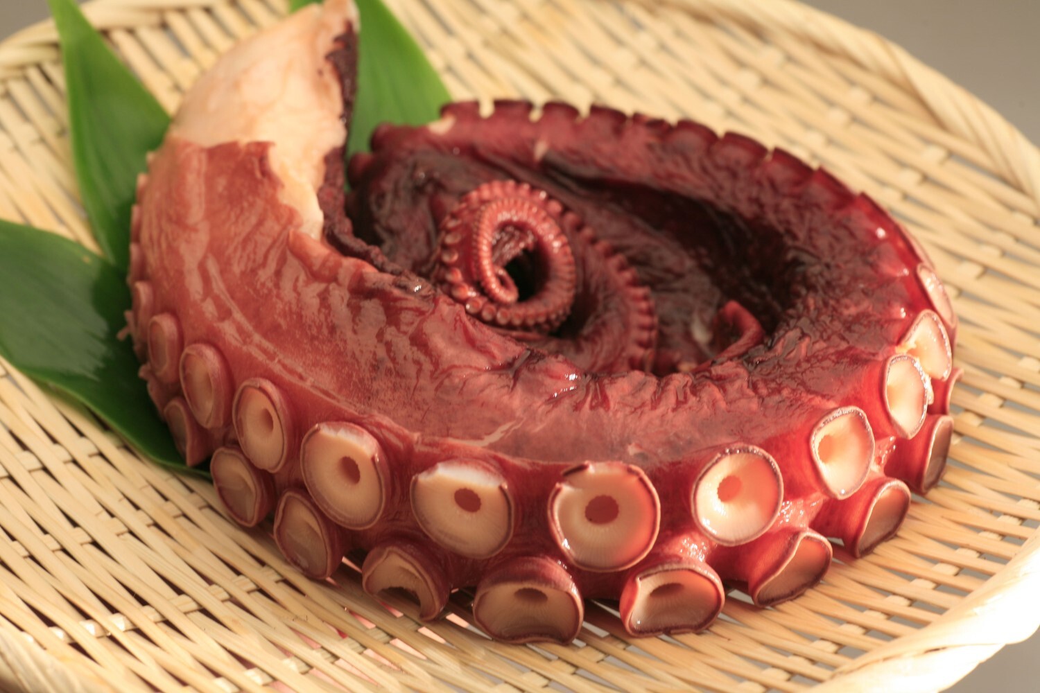 01 タコ足.jpg