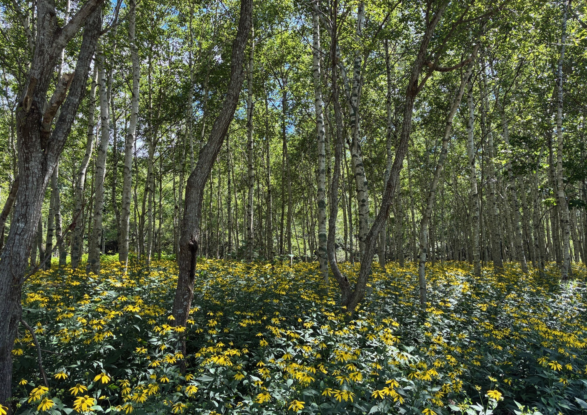 えんべつフォトコンテスト最優秀賞作品