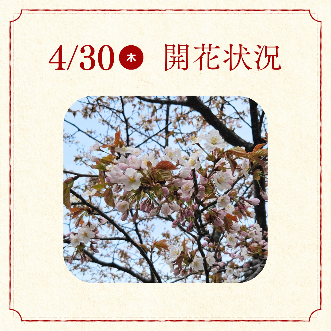 10.png