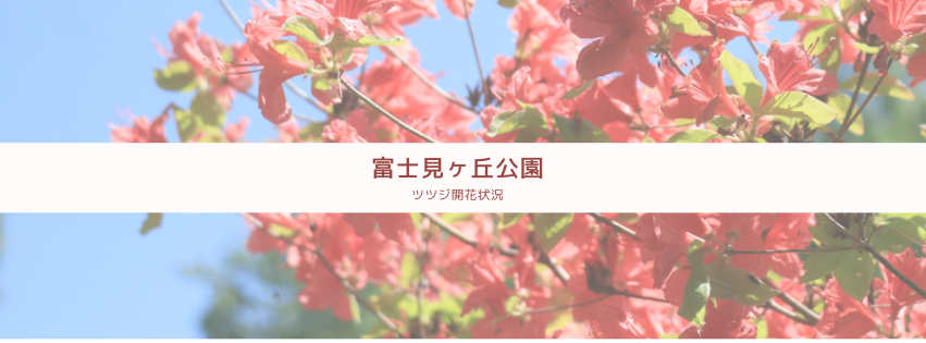 つつじサムネ.png