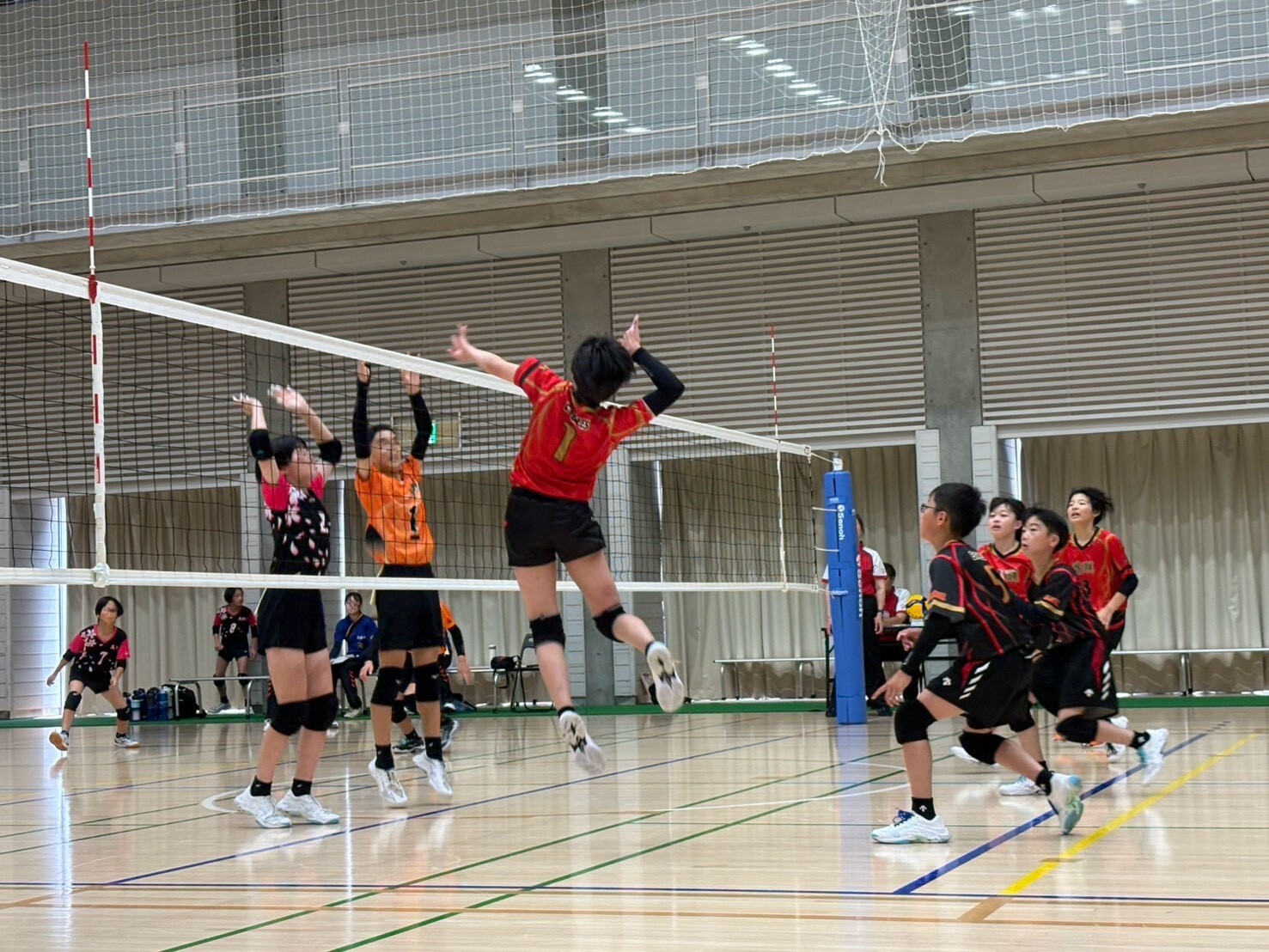 d0735eda-041f-41ce-a23f-45ca5585a4fb.jpg