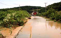 丸松地区・道路等被害1の写真