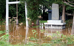 啓明、清川地区・住宅、神社被害2の写真