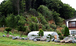 啓明、清川地区・住宅、神社被害3の写真